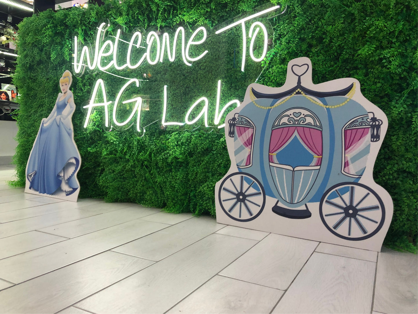 Sagome forex-cartone