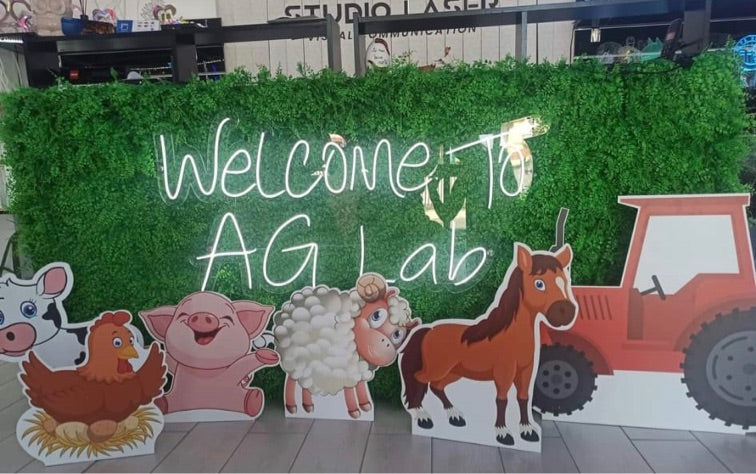 Sagome forex-cartone