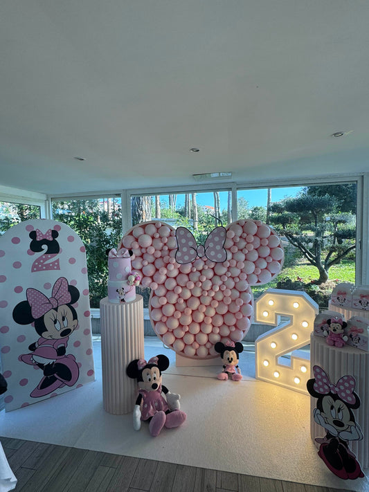 Polistirolo testa Minnie