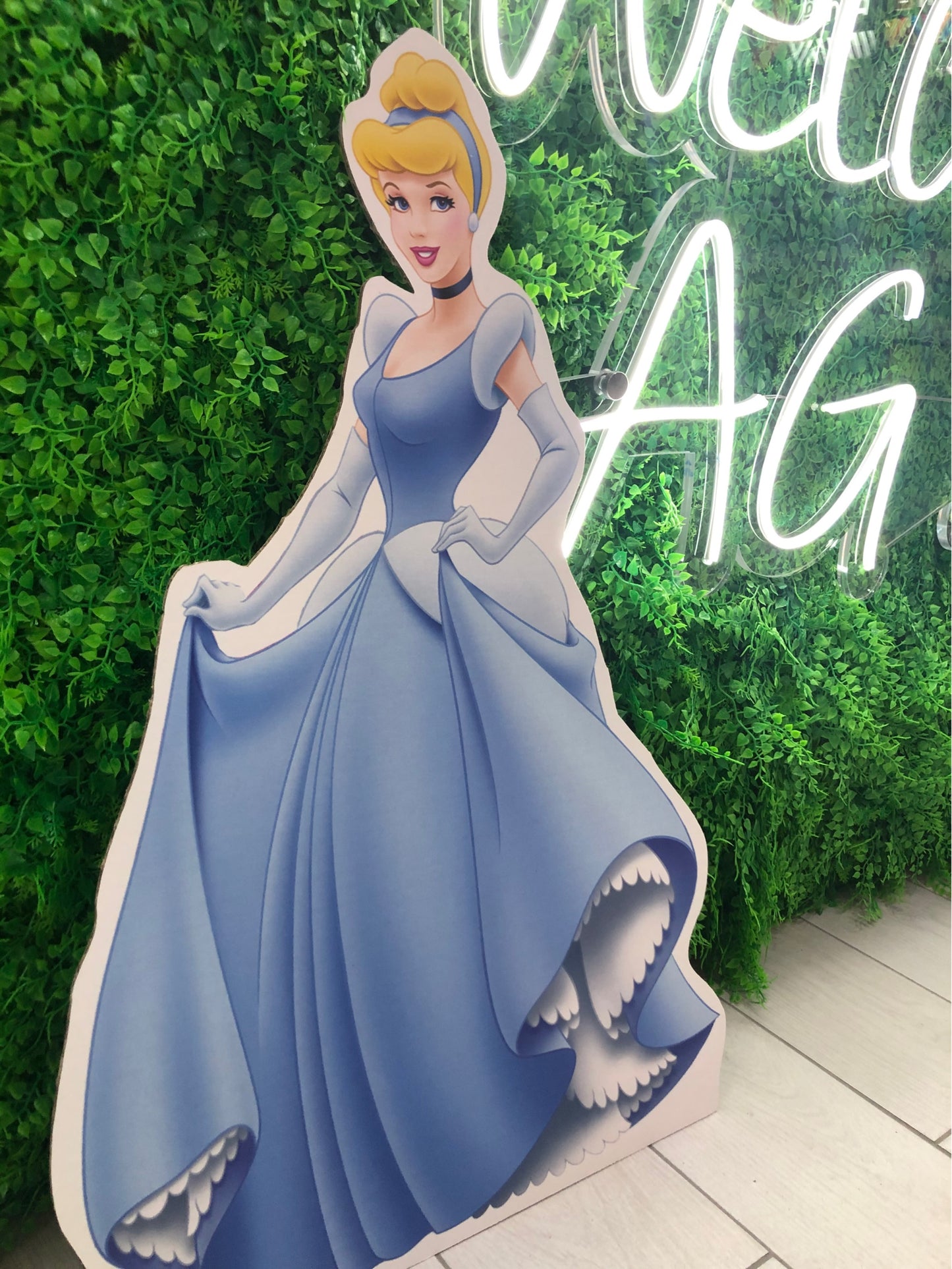 Sagome forex-cartone