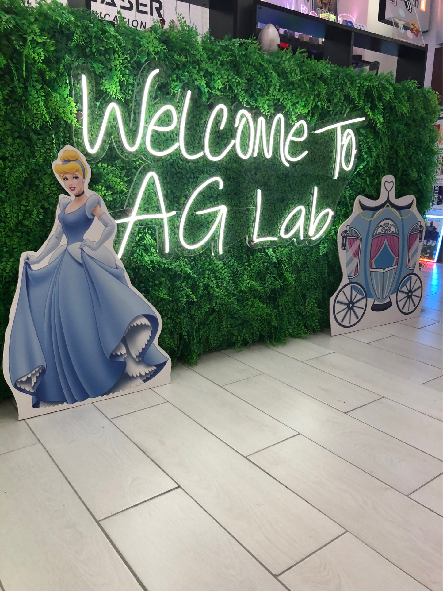 Sagome forex-cartone