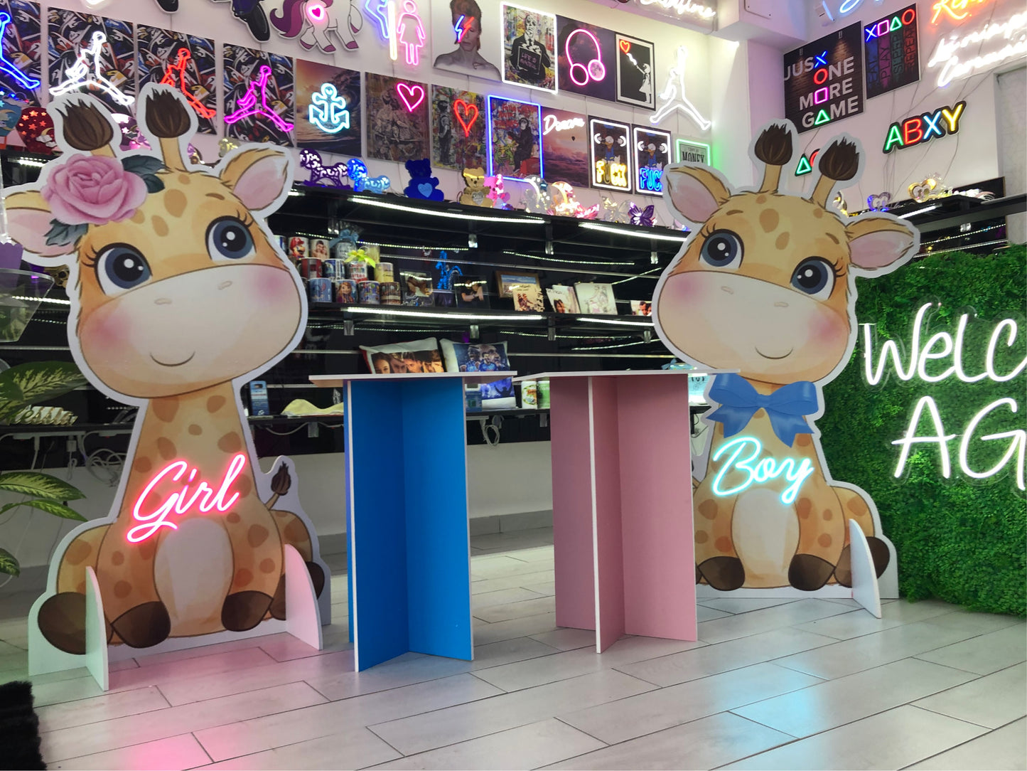 Sagome forex-cartone